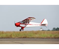 Phoenix Piper Super Cub PA-18 GP/EP ARF Kit (273 mm)